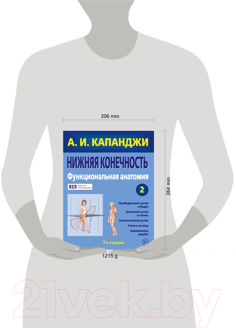 Книга Эксмо Нижняя конечность: Функциональная анатомия