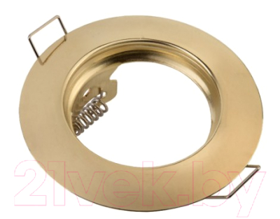 Точечный светильник General Lighting GCL-MR16-A-G 2/200 / 436400 (золото)
