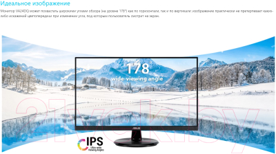 Монитор Asus VA24DQ