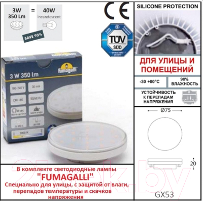 Светильник уличный Fumagalli Leti 2C3.000.000.AYG1L