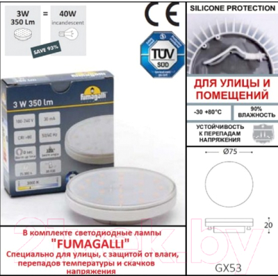 Светильник уличный Fumagalli Ceci 2F3.000.000.LXG1L