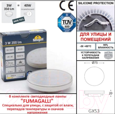 Светильник уличный Fumagalli Ceci 2F4.000.000.AXG1L