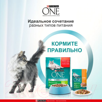 Сухой корм для кошек Pro Plan One для домашних кошек с индейкой и цельными злаками (750г)
