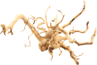 

Декорация для аквариума Natural Color, Premium Spider Root XF40302A(70)