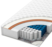 

Матрас ЦВЕТНЫЕ СНЫ, Стар 2 120x200