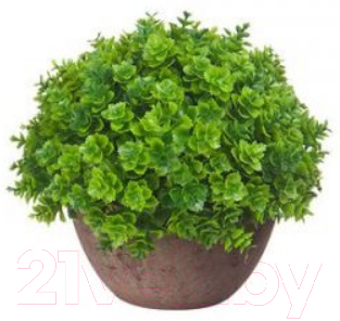 Искусственное растение Вещицы Азалия / B18-green