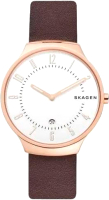 Часы наручные мужские Skagen SKW6458 - 