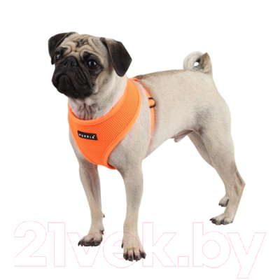 Шлея-жилетка для животных Puppia Neon Soft / PAPA-AC1325-OR-L (оранжевый)