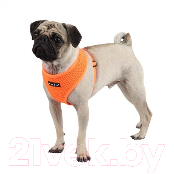 Шлея-жилетка для животных Puppia Neon Soft / PAPA-AC1325-OR-XL (оранжевый) — фото 5