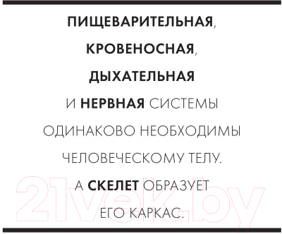 Книга МИФ Анатомия. Детство 5-12 (Дрювер Э.)