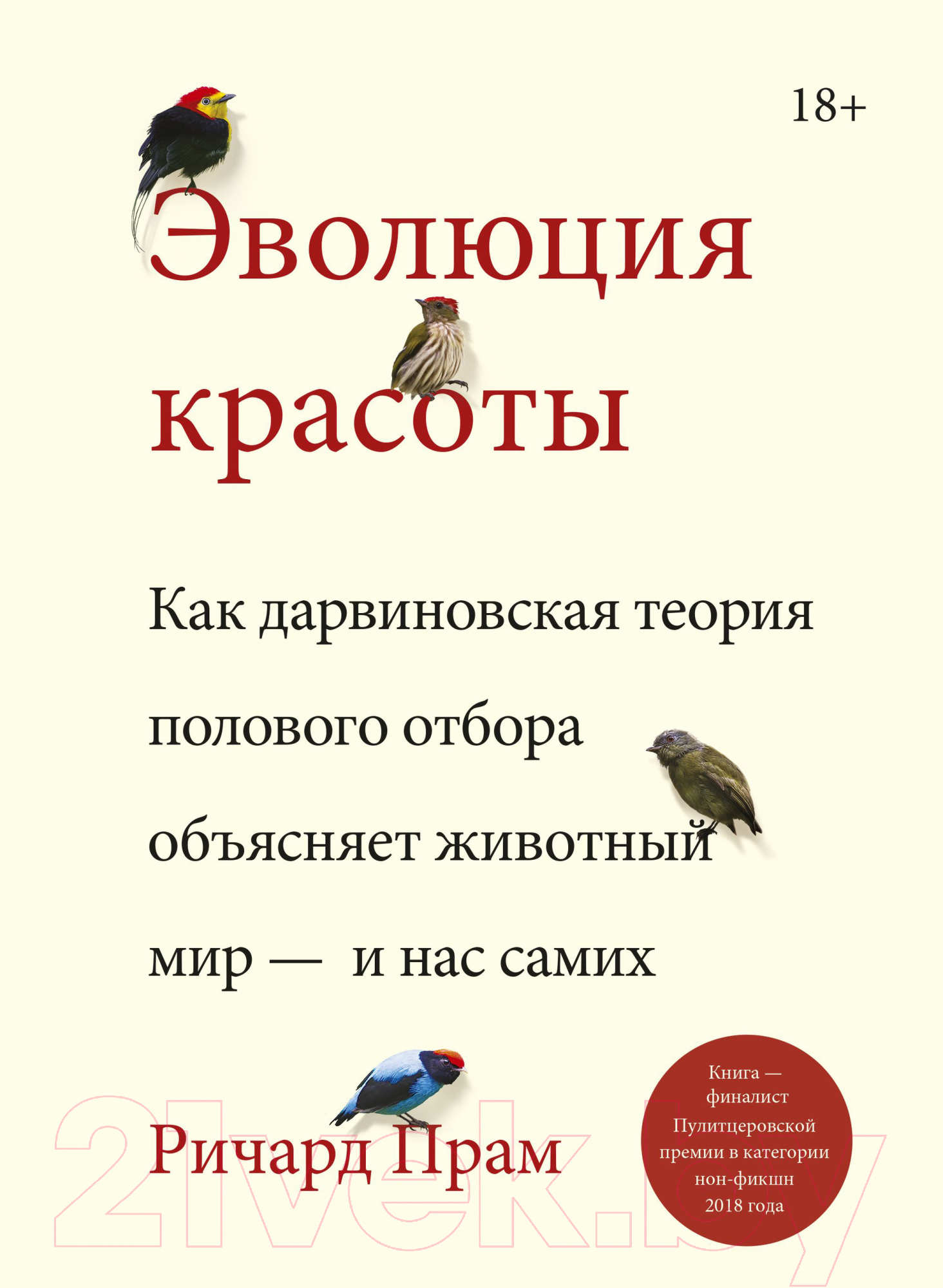 Книга МИФ Эволюция красоты