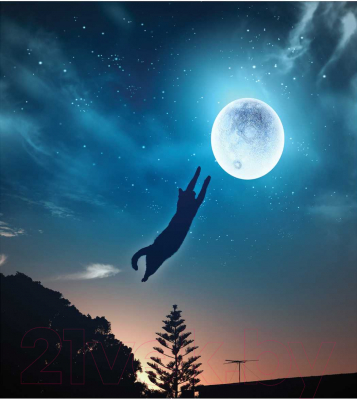 Наволочка декоративная JoyArty Кот прыгает на луну / sl_25245