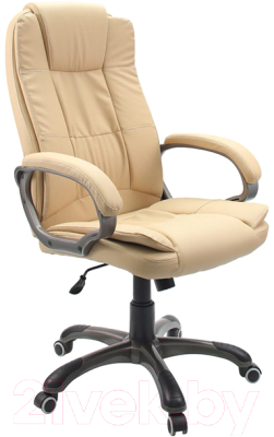 

Кресло офисное Дик, Line CS55-38