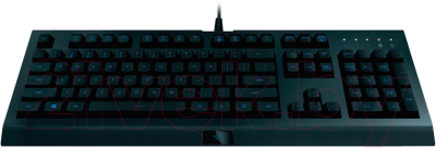 Клавиатура Razer Cynosa Lite / RZ03-02741500-R3R1