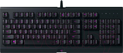 Клавиатура Razer Cynosa Lite / RZ03-02741500-R3R1