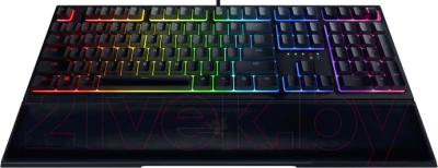 Клавиатура Razer Ornata V2 / RZ03-03380700-R3R1