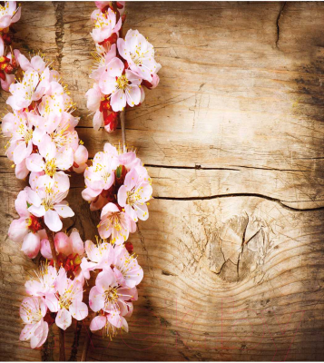 Наволочка декоративная JoyArty Ветка вишни на дереве / sl_27470