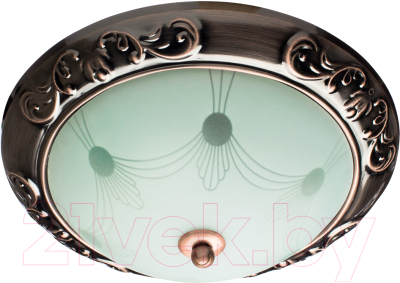 

Светильник Arte Lamp, Alta A3014PL-2AC