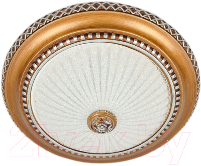 

Потолочный светильник Citilux, Тренди-2 CL425402