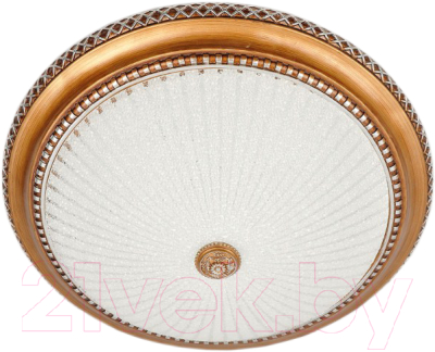 

Потолочный светильник Citilux, Тренди-2 CL425502
