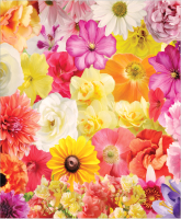 Скатерть JoyArty Коллекция цветов / tc_12327 (120x145) - 