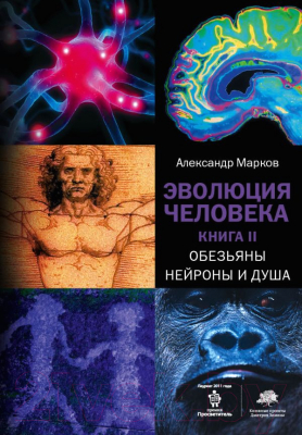 Книга АСТ Эволюция человека. Обезьяны, нейроны и душа. Книга 2 (Марков А.)