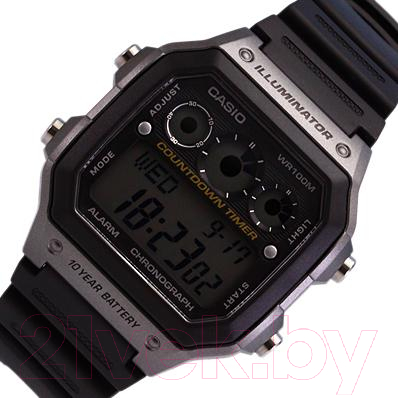 Часы наручные мужские Casio AE-1300WH-8A