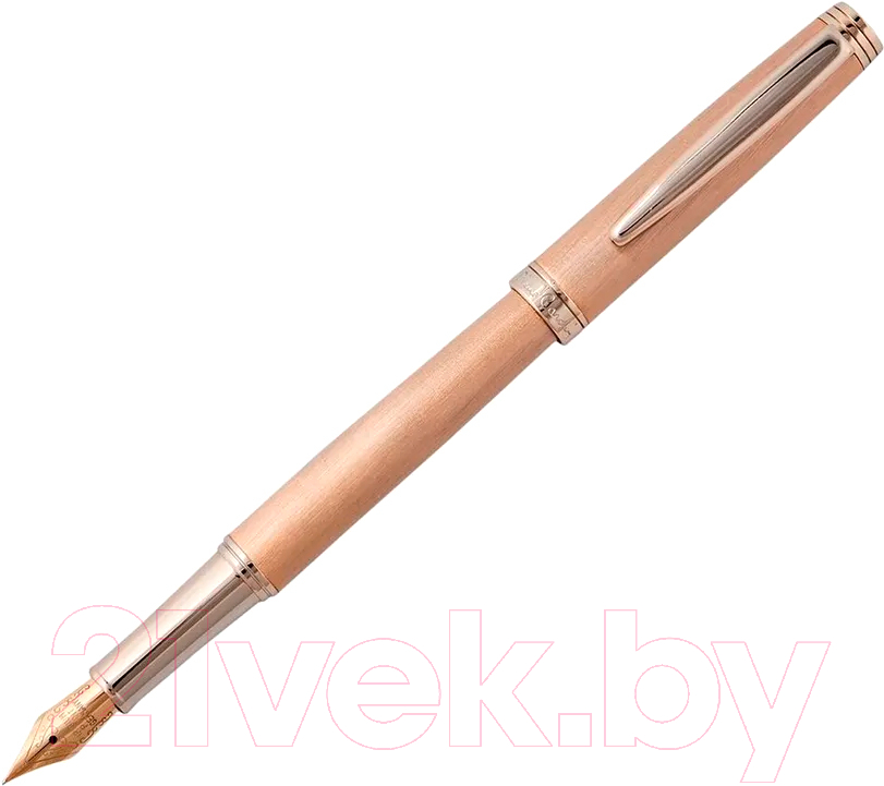 Ручка перьевая имиджевая Pierre Cardin Shine / PC2305FP