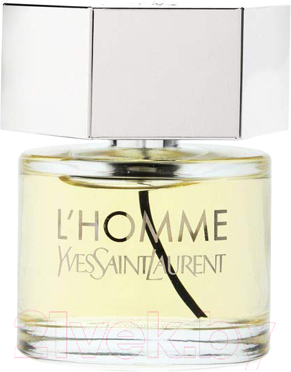 Парфюмерная вода Yves Saint Laurent L'Homme Le Parfum