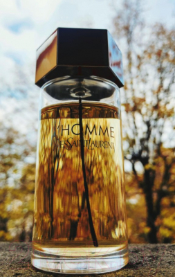 Парфюмерная вода Yves Saint Laurent L'Homme Le Parfum (100мл)