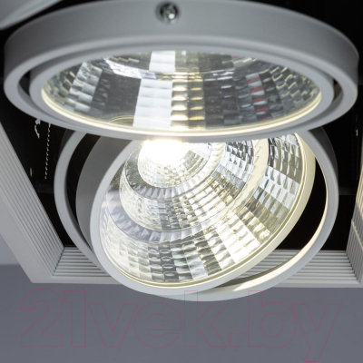 Точечный светильник Arte Lamp Merga A8450PL-3WH
