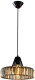 Потолочный светильник Citilux Эдисон CL450212 - 