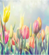 Скатерть JoyArty Весенние тюльпаны / tcox_38072 (145x180) - 