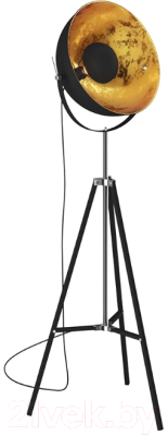 

Торшер Zuma Line, Antenne TS-090522F-BK