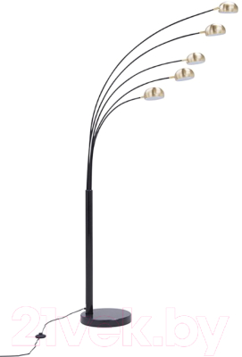 

Торшер Zuma Line, Zodiac TS-5805-BKBB