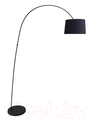 

Торшер Zuma Line, Costanza TS-070720F-BK