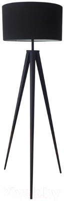 

Торшер Zuma Line, Maresca TS-170429F-BK