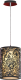 Потолочный светильник Lussole Vetere GRLSF-2386-01 - 