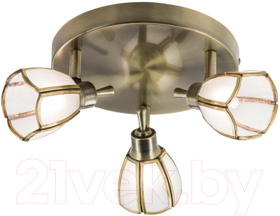 

Спот Citilux, Альтен CL522531