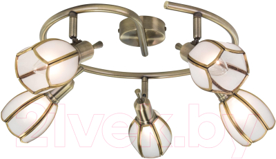 

Спот Citilux, Альтен-2 CL522651