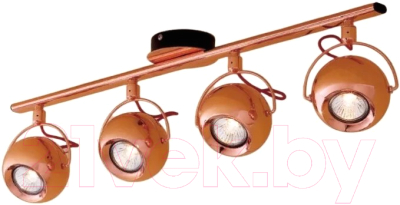 

Спот Citilux, Сфера CL532543