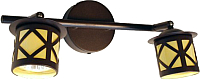 

Спот Citilux, Гессен CL536521