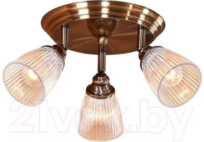 

Спот Citilux, Виндзор CL539631