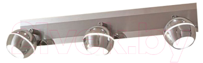 

Спот Citilux, Раймонд CL555531
