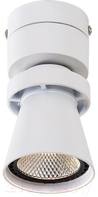 

Спот Citilux, Дубль-1 CL556510