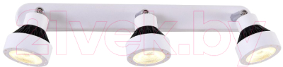 

Спот Citilux, Данди CL557531