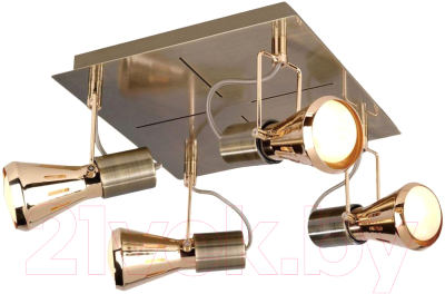 

Спот Citilux, Марс CL527543