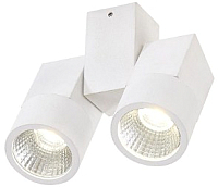 

Спот Citilux, Дубль CL556100