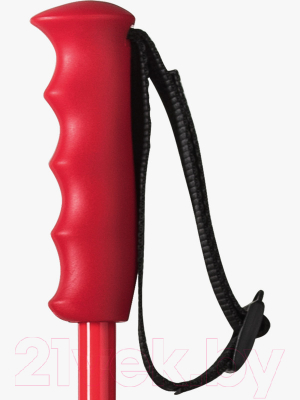 Горнолыжные палки Atomic Ski Youth Redster Jr / AJ5005354 (р.105, красный/черный)