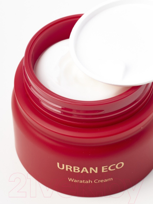 Крем для лица The Saem Urban Eco Waratah Cream (50мл)